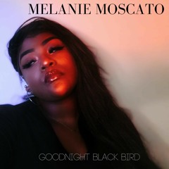 Goodnight Black Bird