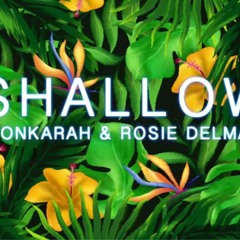 Rosie Delmah ft. Conkarah- Shallow (reggae cover) 2019