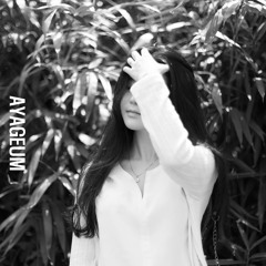 LOST ARK BGM | 별빛등대의 섬