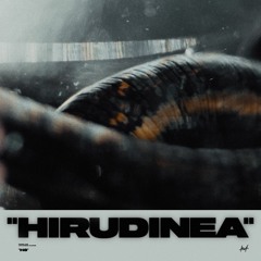 HIRUDINEA