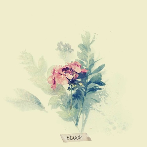 Bloom        w/ Sebastian Kamae