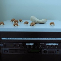 Half Moon Bay Sunday Morning in the Dark