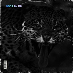 Godlands - Wild (CHATOOR Remix)