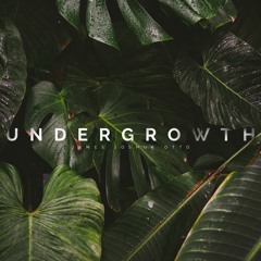 undergrowth [BK]