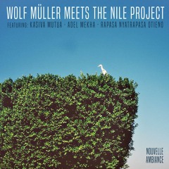 Wolf Müller meets The Nile Project - Moso Radido Wuod Ndege (STW Premiere)