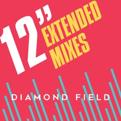 Diamond Field 12" Extended Mixes