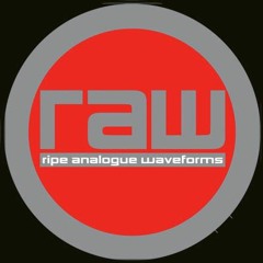 Raw 10 (Guy Mcaffer Remix)