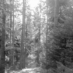 nowhere place take2 / ruca