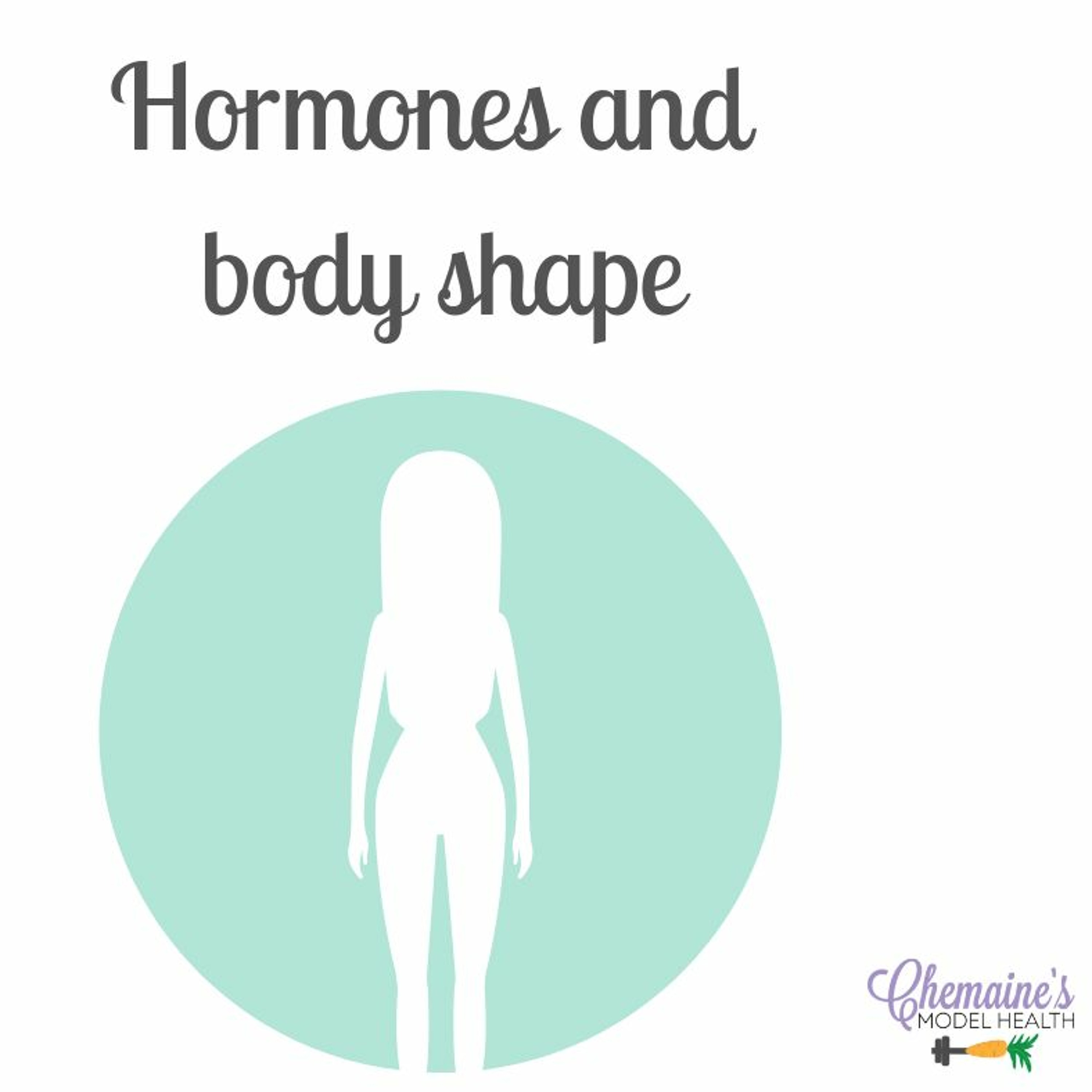 Find your model health!
