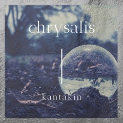 Chrysalis