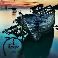 ShippedWreckedZoomin