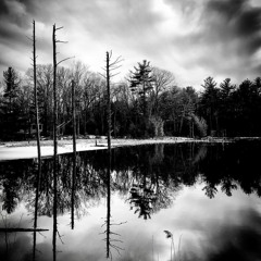 Merrick- 2019 Spring Beat Intro