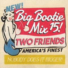 2F Big Bootie Mix, Volume 15 - Two Friends