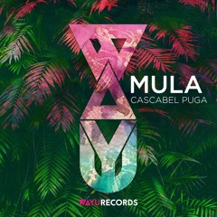 Mula - Cascabel Puga (Original Mix) - Preview