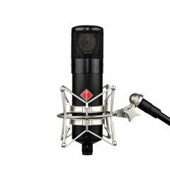 Stam Audio Mic Test