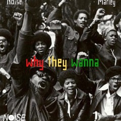 Why They Wanna (produced by Prophet)