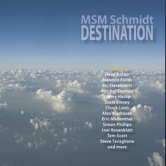 7 Grooves To Heaven - MSM Schmidt