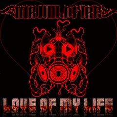 Mr. WildFire - Love Of My Life