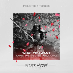 Monoteq, Toricos - What You Want (Barbary & Shaen Remix)