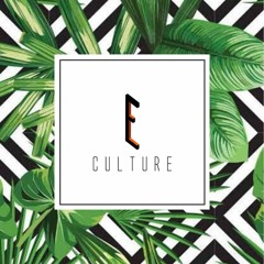 Especial: Um ano da agência E-CULTURE