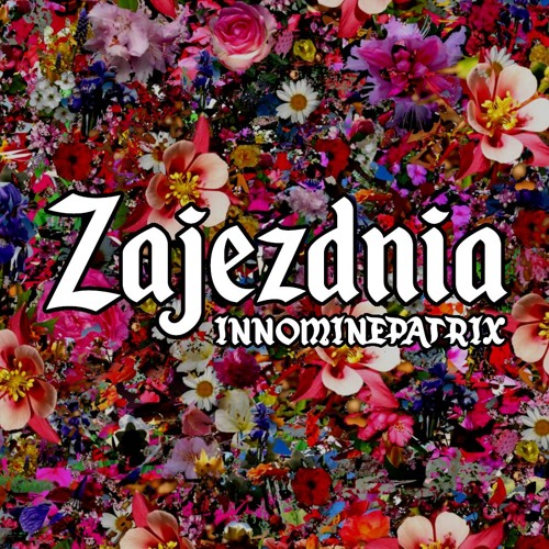 INNOMINEPATRIX @ Zajezdnia: PLURBDSM - 15.02.2019