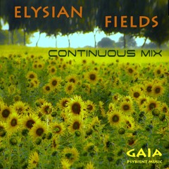 Elysian Fields VA - Continuous Mix