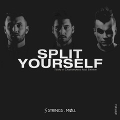 Tiësto & Chainsmokers Feat. Eminem - Split Yourself (Strings & Moll Mashup)