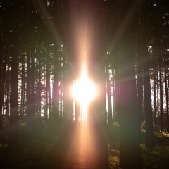 Wane of Summer !!