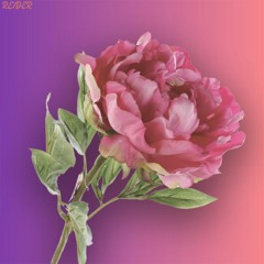 [FutureBass]SeatownPeonies -REIDER