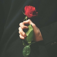 Dafné Kritharas & Paul Barreyre - La Rosa Enflorece