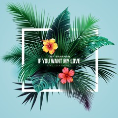 If You Want My Love feat. Lola Rhodes