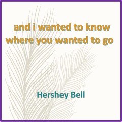 And I Wanted To Know Where You Wanted To Go