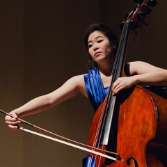 Schubert Arpeggione Sonata Mvt I
