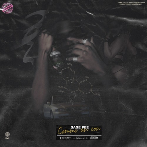 Sage P€€ - Comme un con