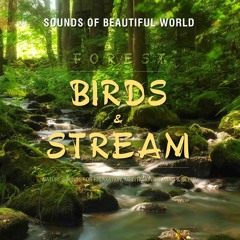 Forest: Birds & Stream (Nature Sounds for Relaxation, Meditation, Healing & Sleep)
