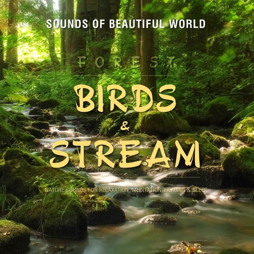 Overflod spand Tak Stream Forest: Birds & Stream (Nature Sounds for Relaxation, Meditation,  Healing & Sleep) by Sounds of Beautiful World | Listen online for free on  SoundCloud