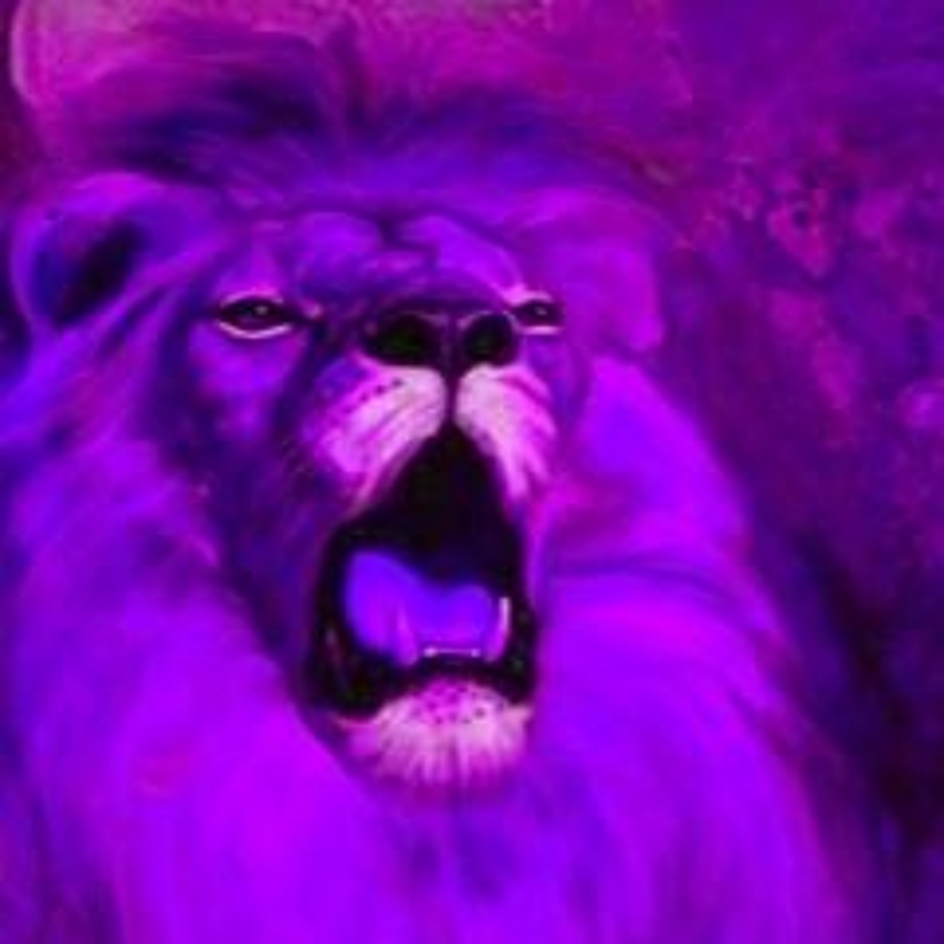 LoNELy Lion episode artwork