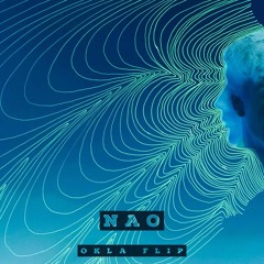 NAO - Another Lifetime (Okla Flip)