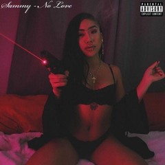 Sammy - No Love (Prod. Pain) *Music Video in Description*