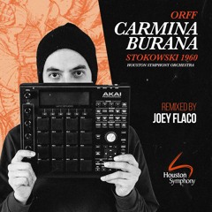 24 Carmina Burana - Ave Formosissima - (Joey Flaco Remix)