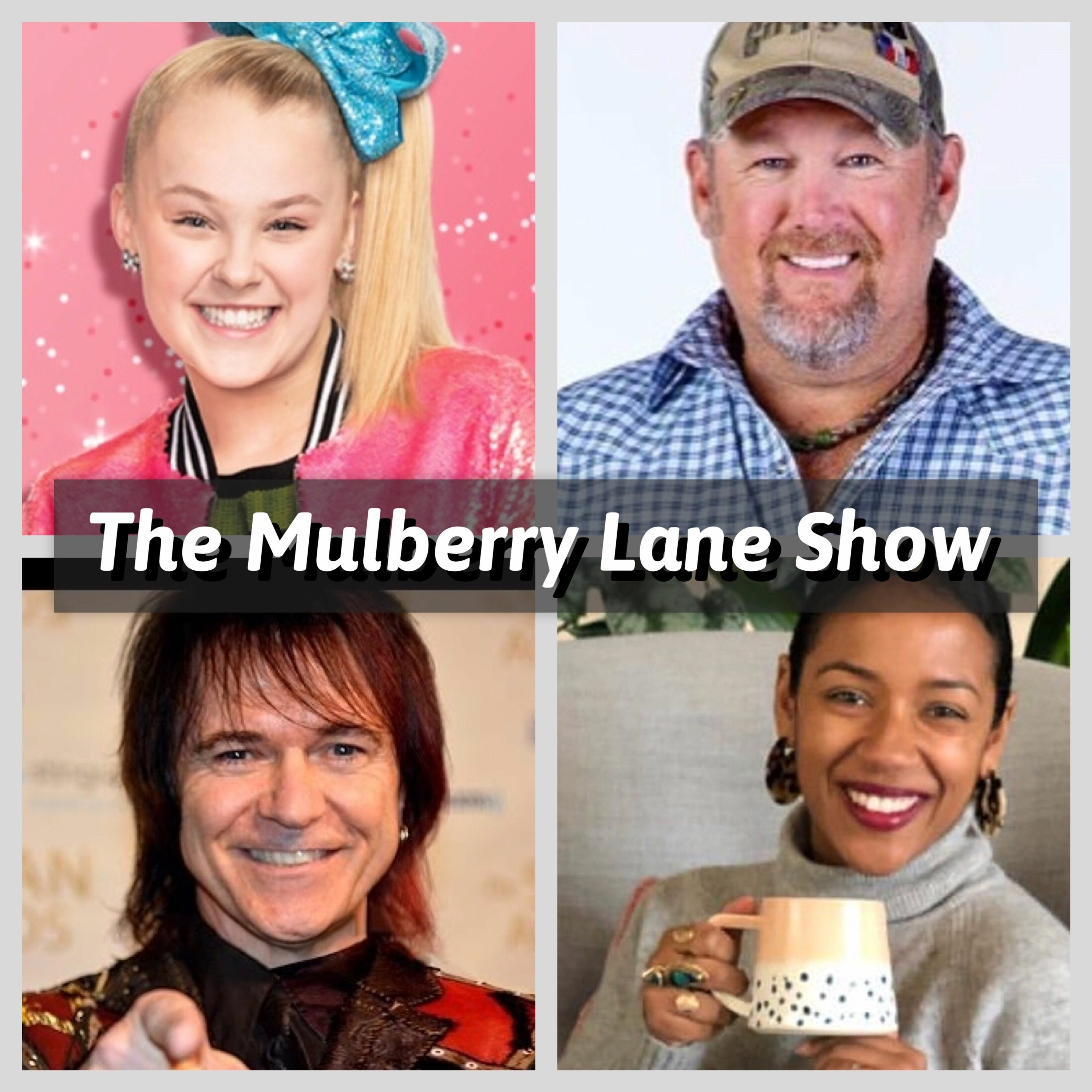 The Mulberry Lane Show