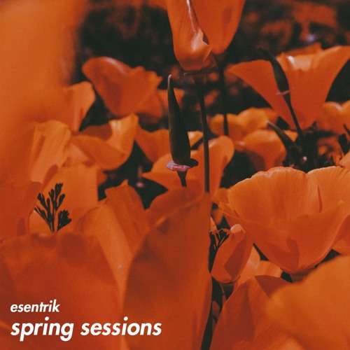 spring sessions '19 | DOWNLOAD THE EDIT PACK IN DESCRIPTION