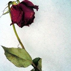 Tell me (prod.30hertzbeats)