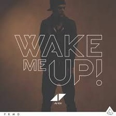Avicii feat. Aloe Blacc - Wake Me Up (Acapella)