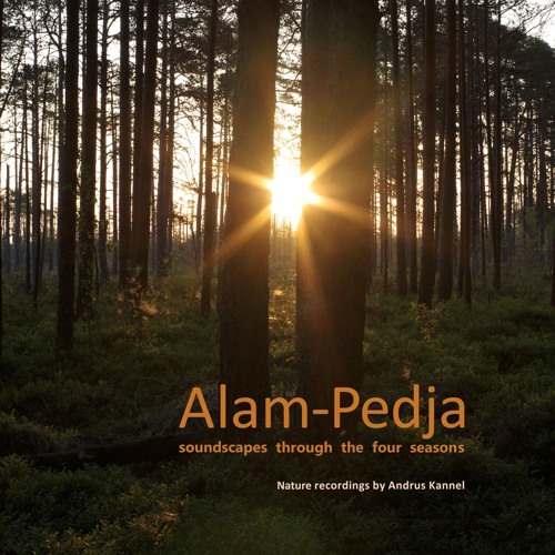 Alam-Pedja soundscapes through the four seasons (Preview)