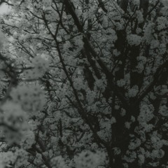 Architect of the Universe