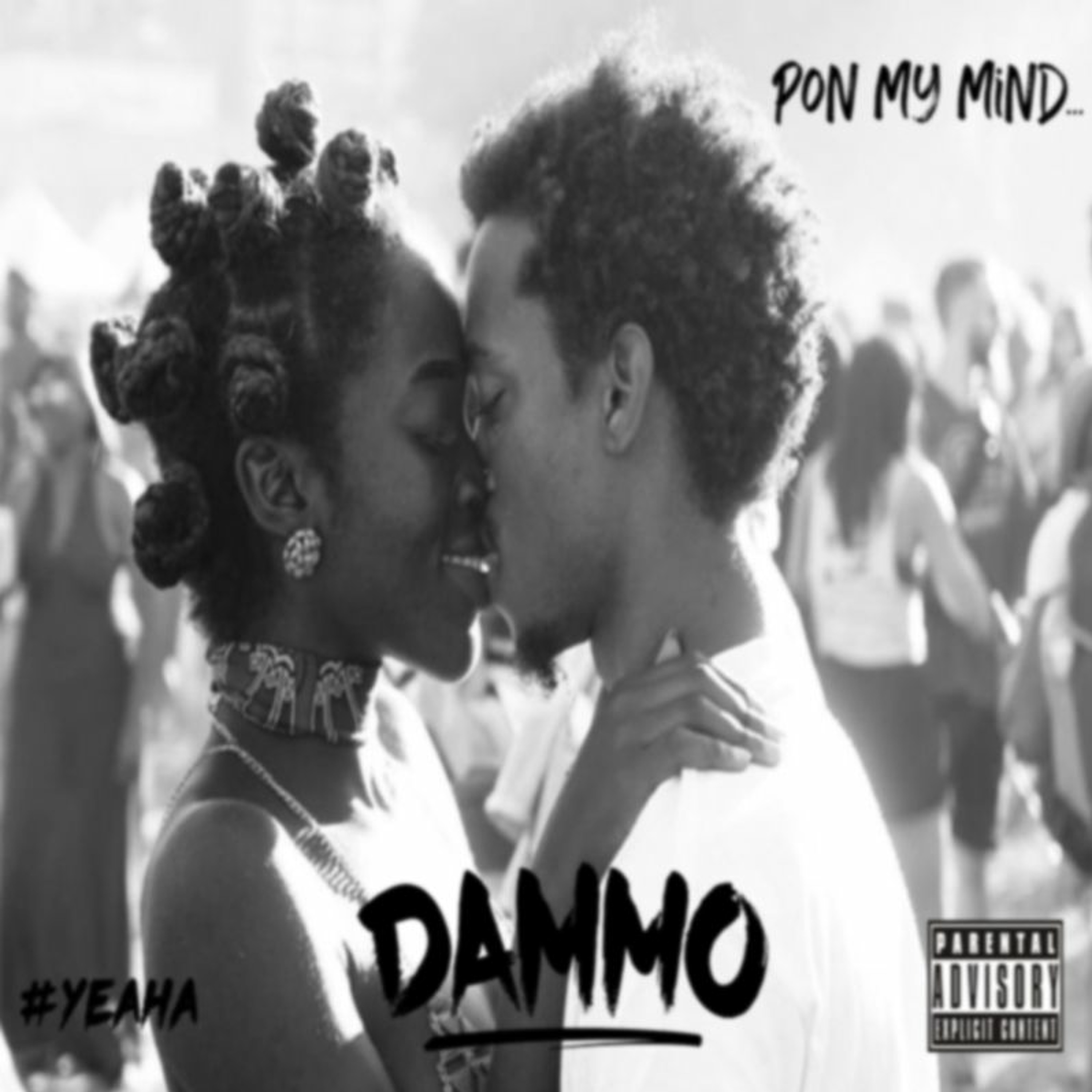 Dammo Velli