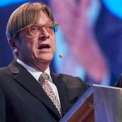 Guy Verhofstadt, ALDE, BE (in French): Verhofstadt's Vision