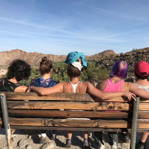 No Sleep Til Baja
