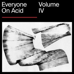 Everyone On Acid: Volume 4